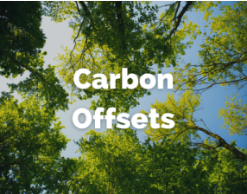 Carbon
